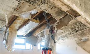 Pottsville, PA Mold Remediation Company